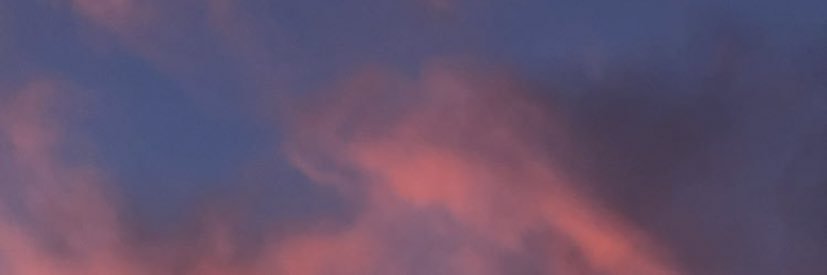 Priyanka Mohan's banner
