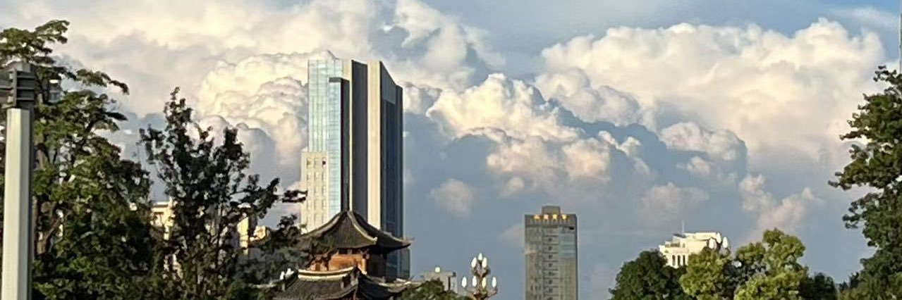 陈树's banner