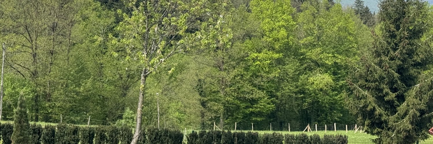 Maja Kocjan's banner