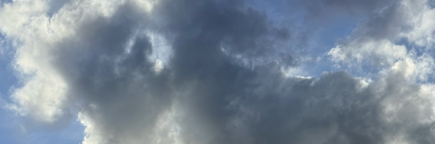 Anna Derewienko's banner
