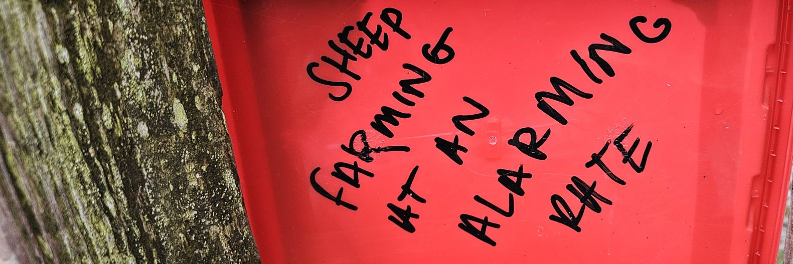 Riff's banner