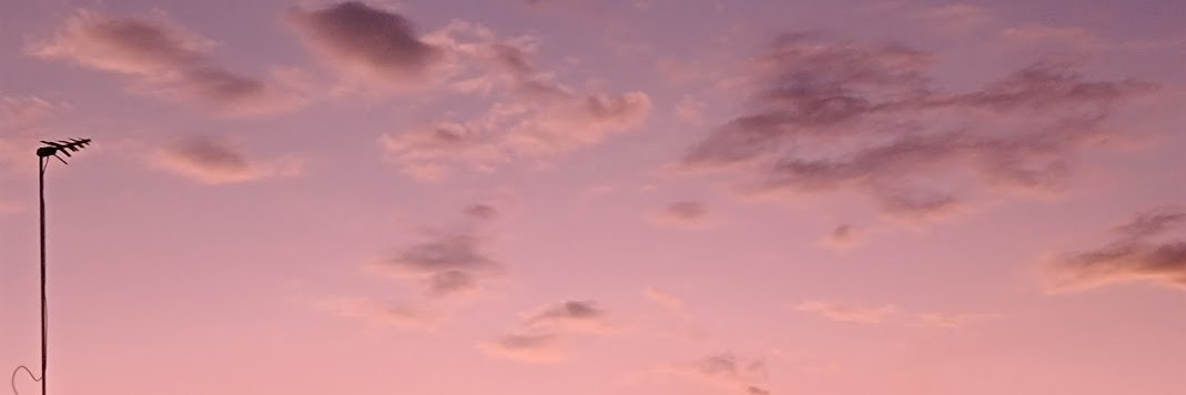 KITSUNEKI's banner