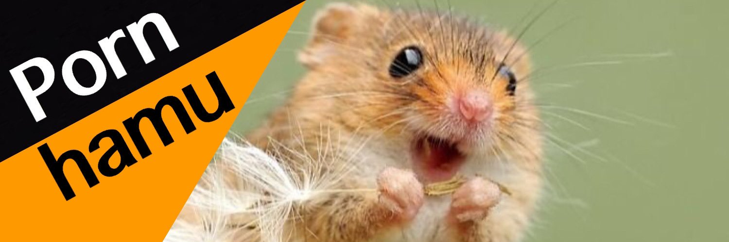 ハム🐹's banner