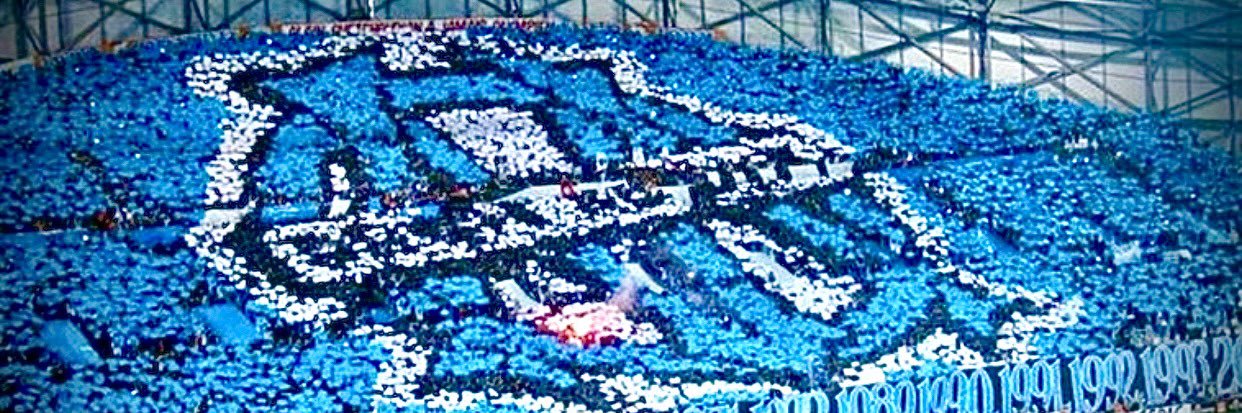 𝗔𝗹𝗲𝕏 🤙🏼's banner