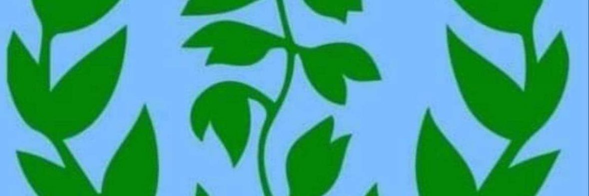 Leila's banner