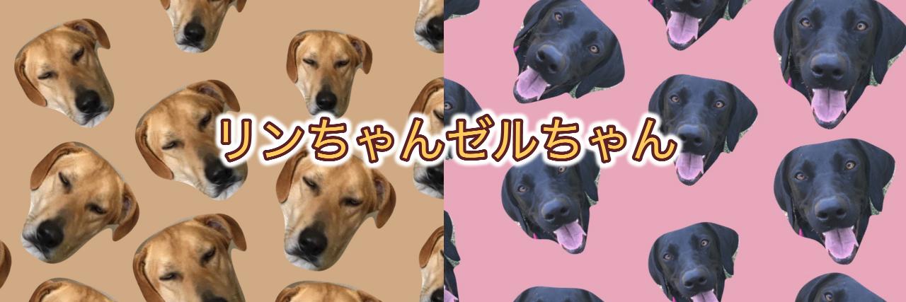 リンちゃんゼルちゃん's banner