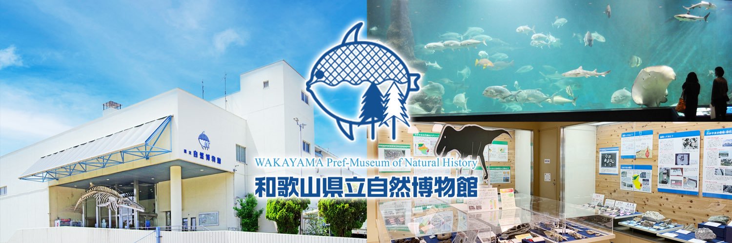 和歌山県立自然博物館's banner