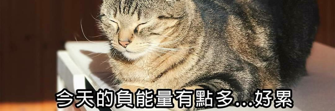 想變成深淵的黑貓's banner