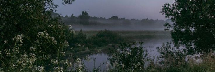 ⋆˚ alin 𝜗𝜚 ˚⋆'s banner