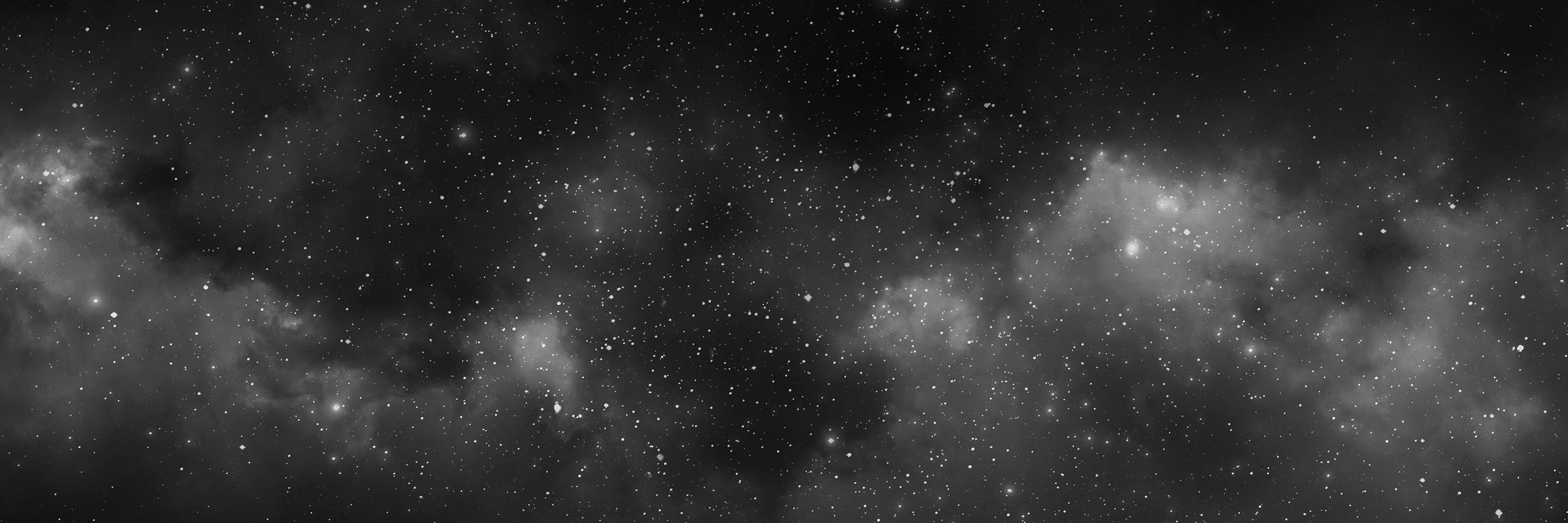 Tyler Spalding's banner