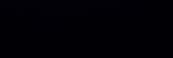 是只母狗.'s banner