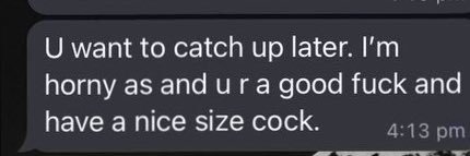 the kinkpanther of perth's banner