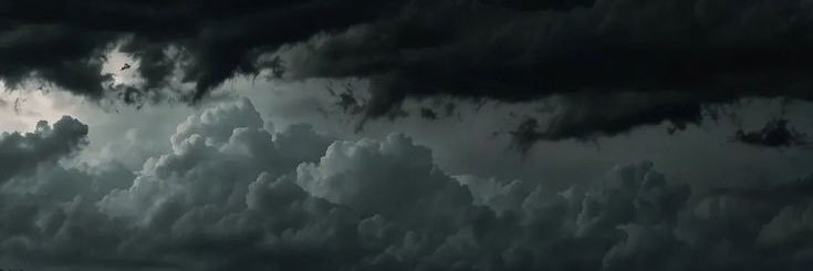 بدور's banner