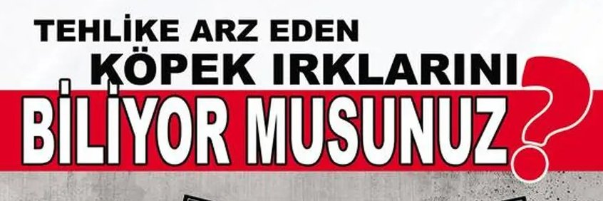 Başıboşluk Bitecek's banner