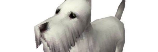 sebastián's banner