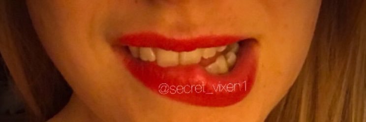 secret vixen's banner