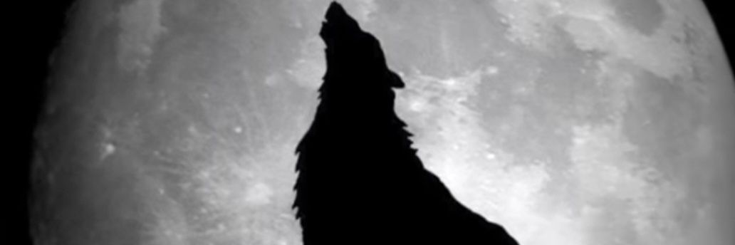 Alpha.'s banner