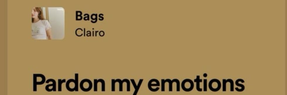 mar alonsonumber% 🌻's banner