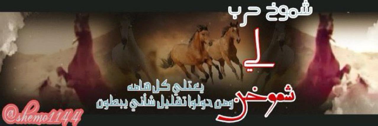 ‏شــمــووخ 🕊 حرب 👑's banner