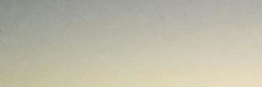 査察's banner