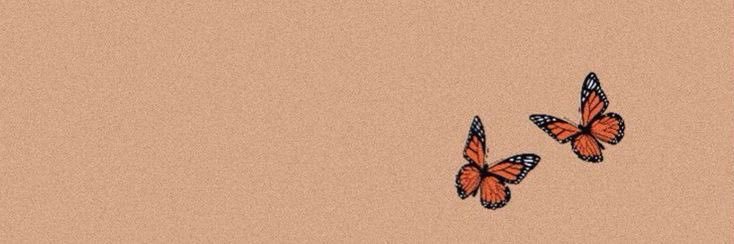 angel ꨄ︎'s banner