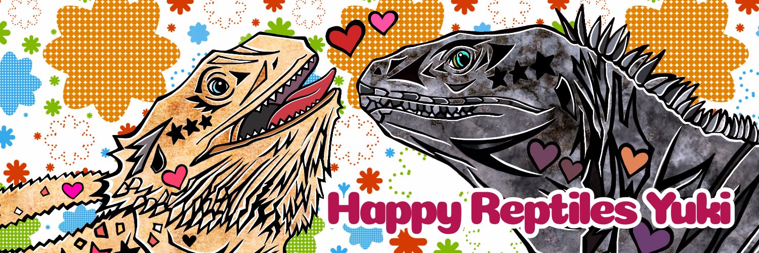 🦎ゆきねぇ🦎 Happy_Reptiles_Yuki's banner