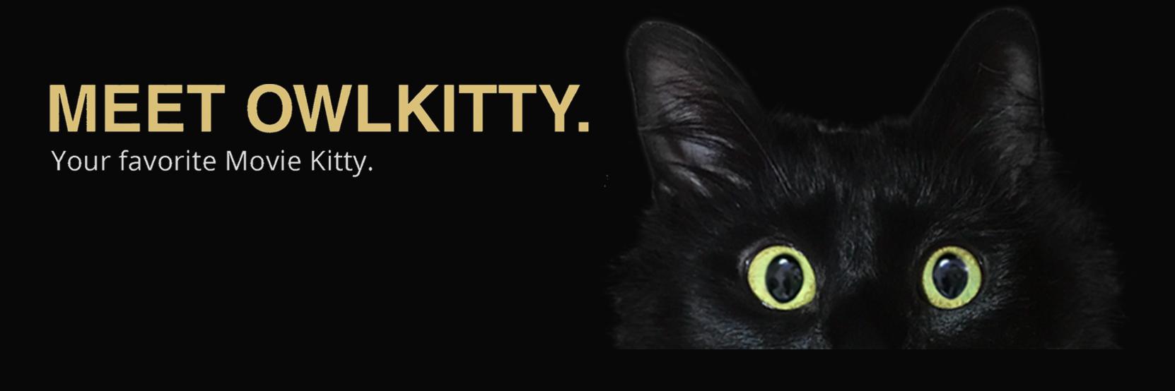 OwlKitty's banner