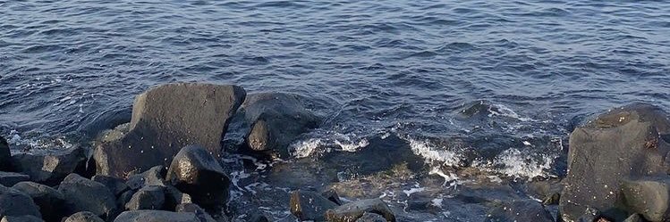 شـما🦌's banner