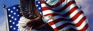 True Patriot 🇺🇸🇺🇸's banner