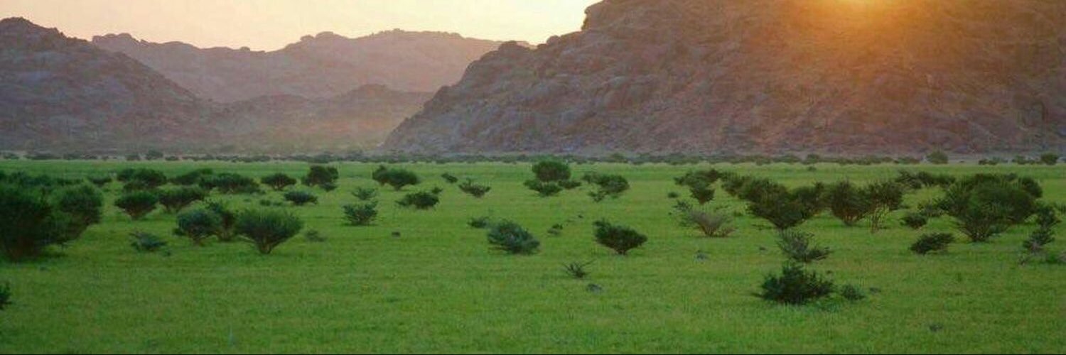 ولد الاصل و الفصل's banner