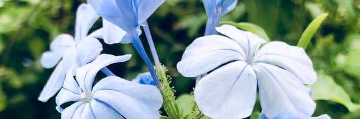 悅(悅讀）'s banner