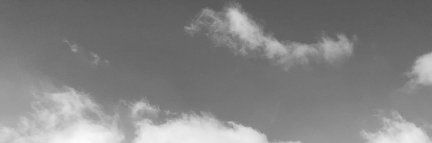 sera's banner