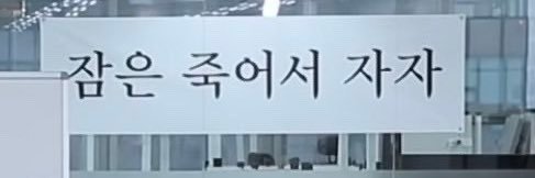 보우's banner