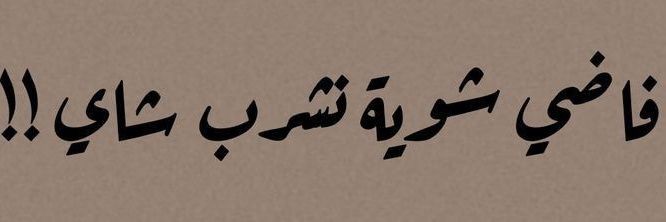 Rana Elbanawany's banner