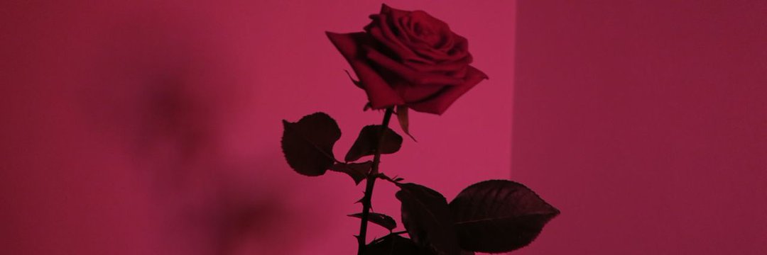 Jason's banner