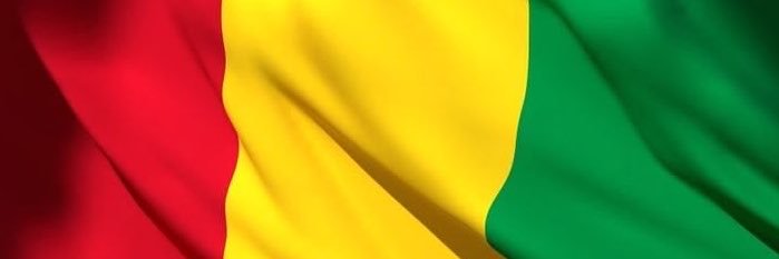 Sekou Toure's banner