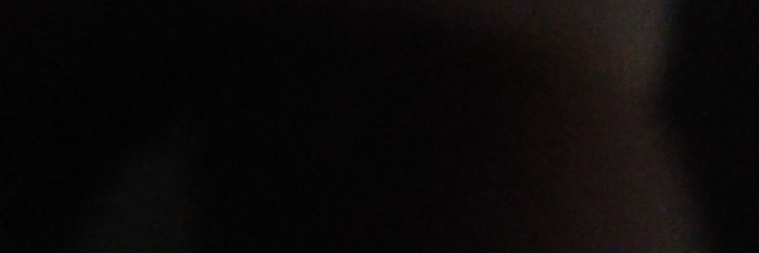 Fatoş's banner