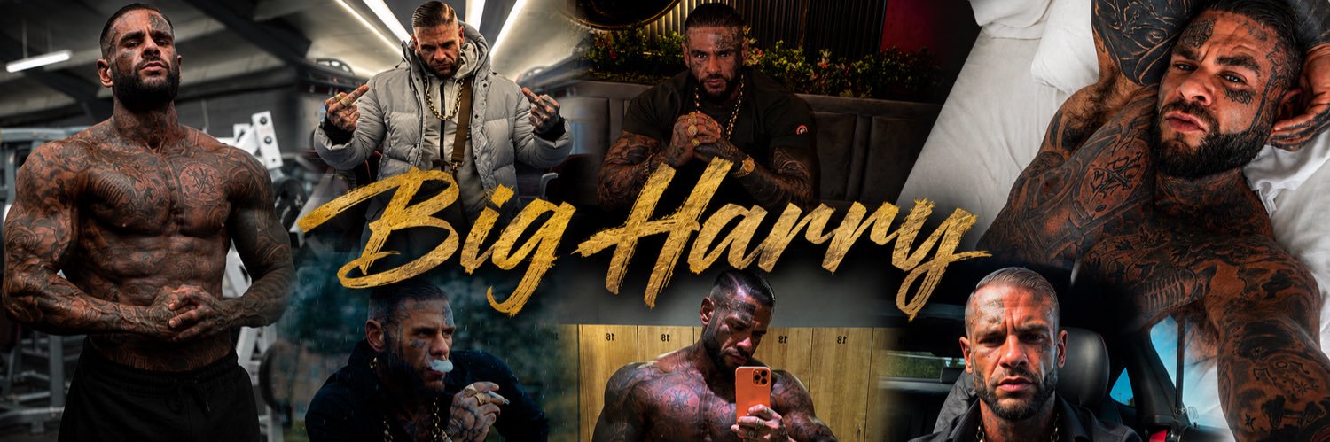 BIG HARRY🤪's banner