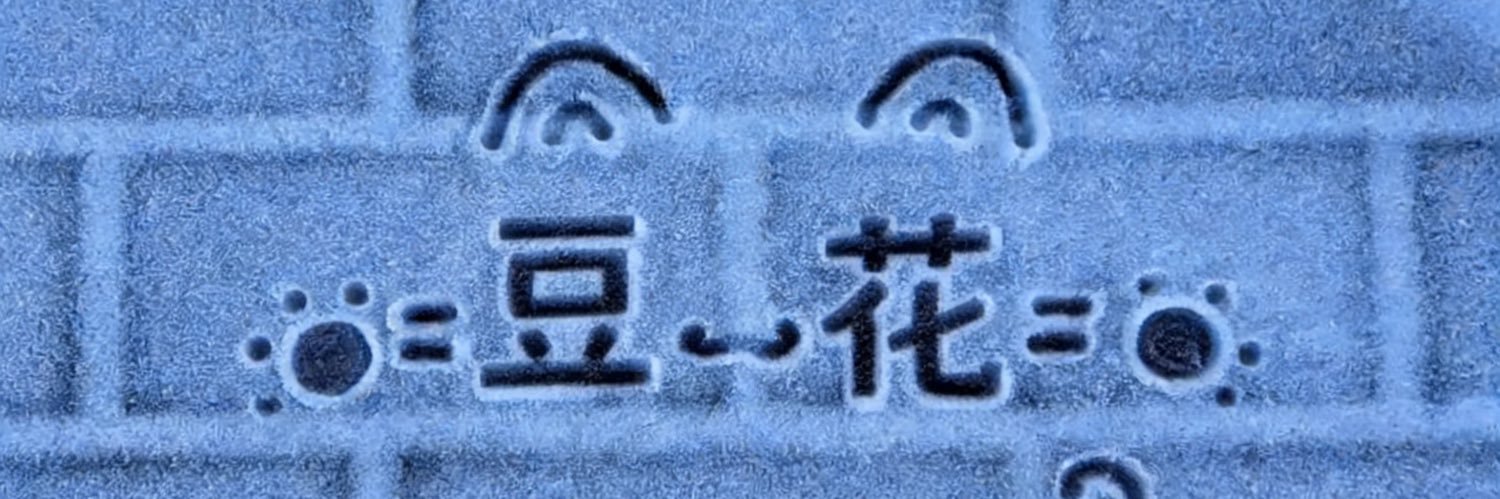 不知豆女士's banner