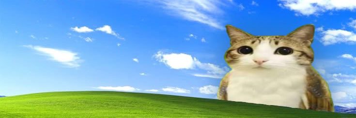 esther ྀིྀི's banner