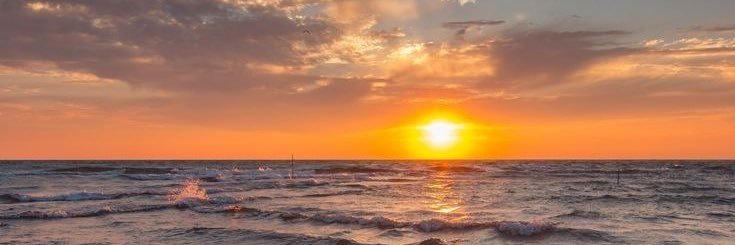 leti☀️📖💕's banner