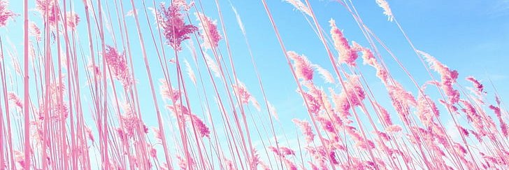 P.L Sapphic Fun ♀️♀️ 🔞 MDNI's banner