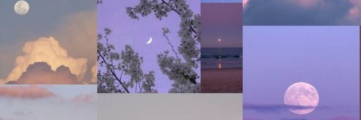 تُقى's banner