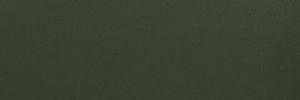 olivia's banner