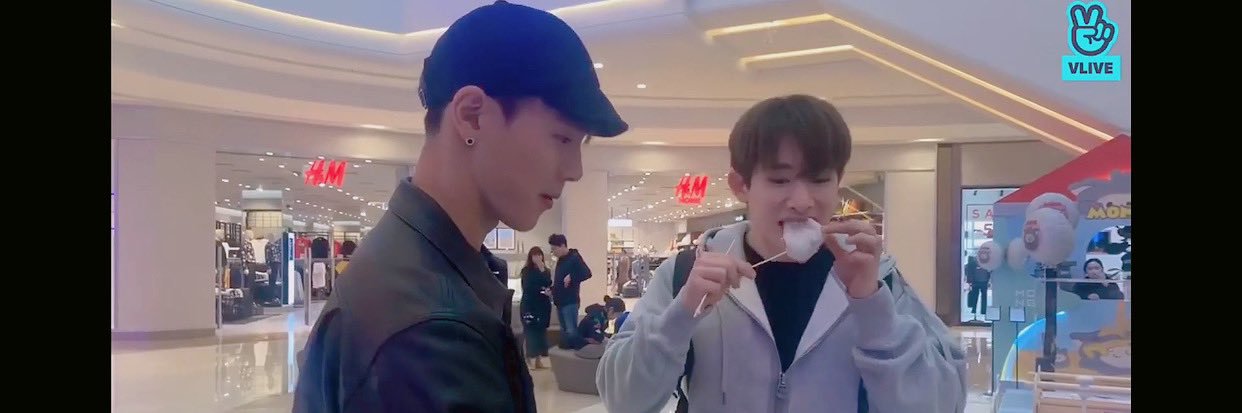 시백 🧸's banner