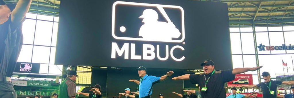 MLB Umpire Camps's banner