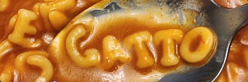 Steph's banner