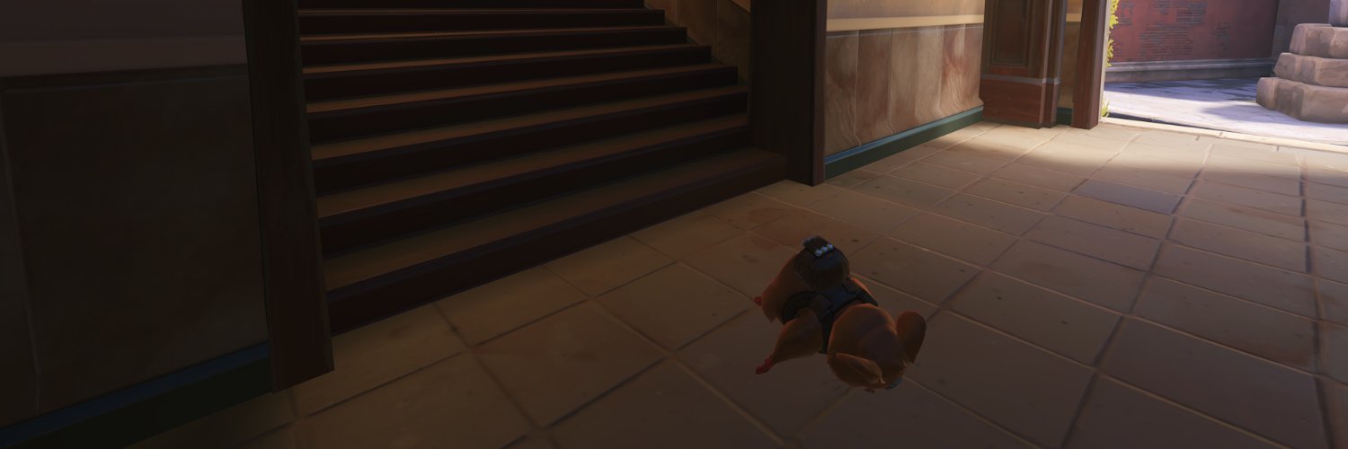🐹's banner