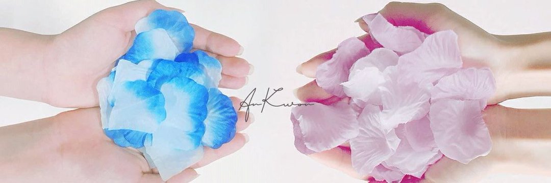 안권저장소's banner
