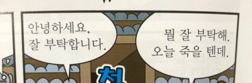 곰's banner